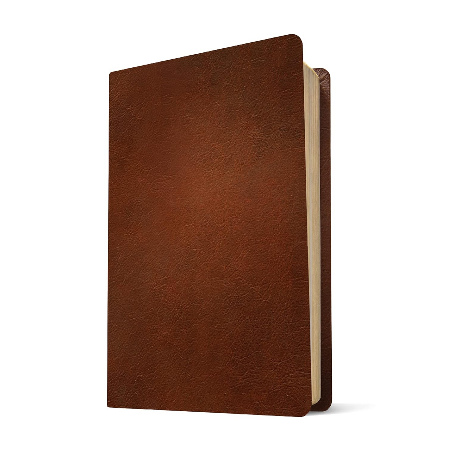 NLT Large Print Thinline Ref, Filament-Enabled, Genuine Leather, Brown