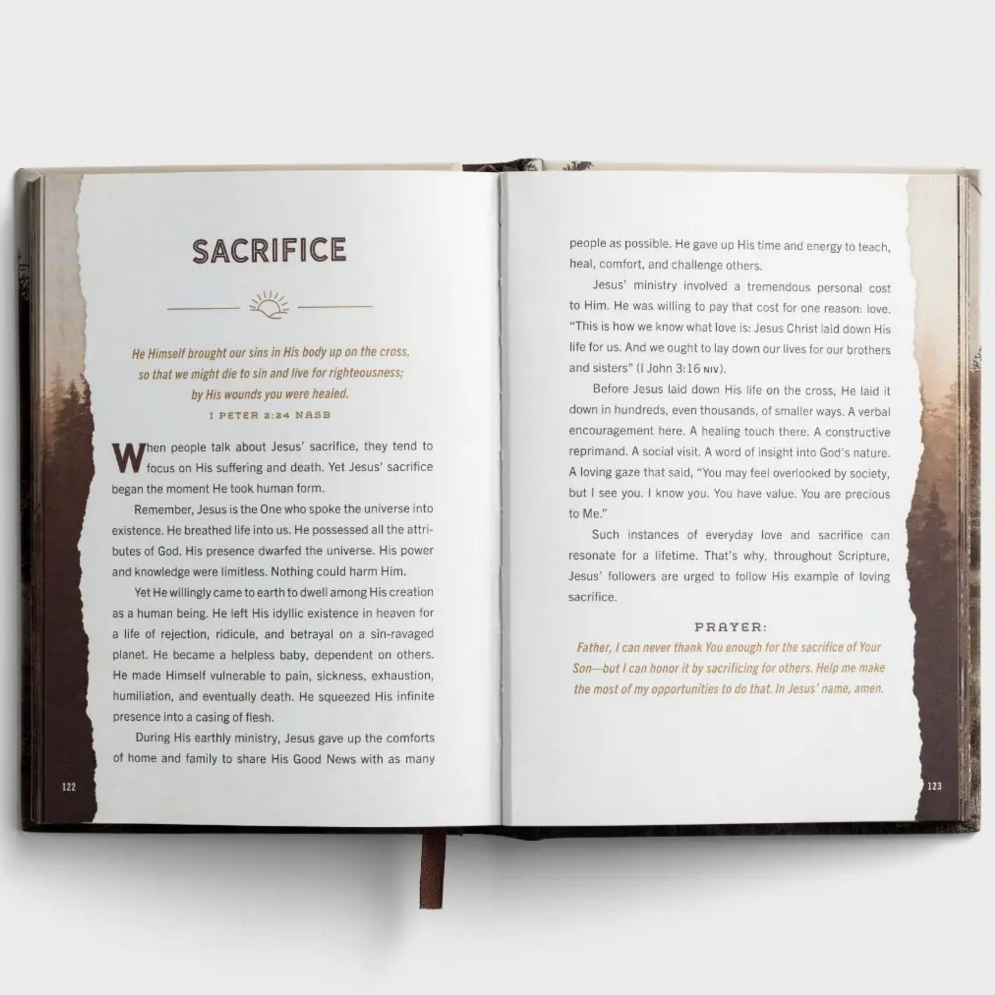 Designed for Greatness: Devotions for Men