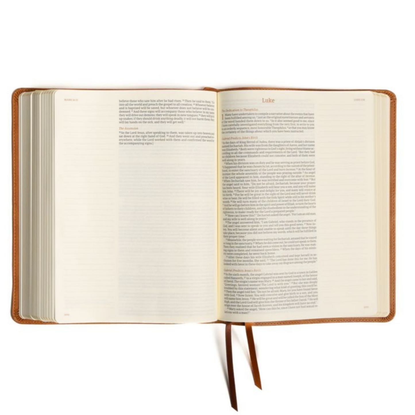 CSB Notetaking Bible, Large Print Edition, LeatherTouch - Camel