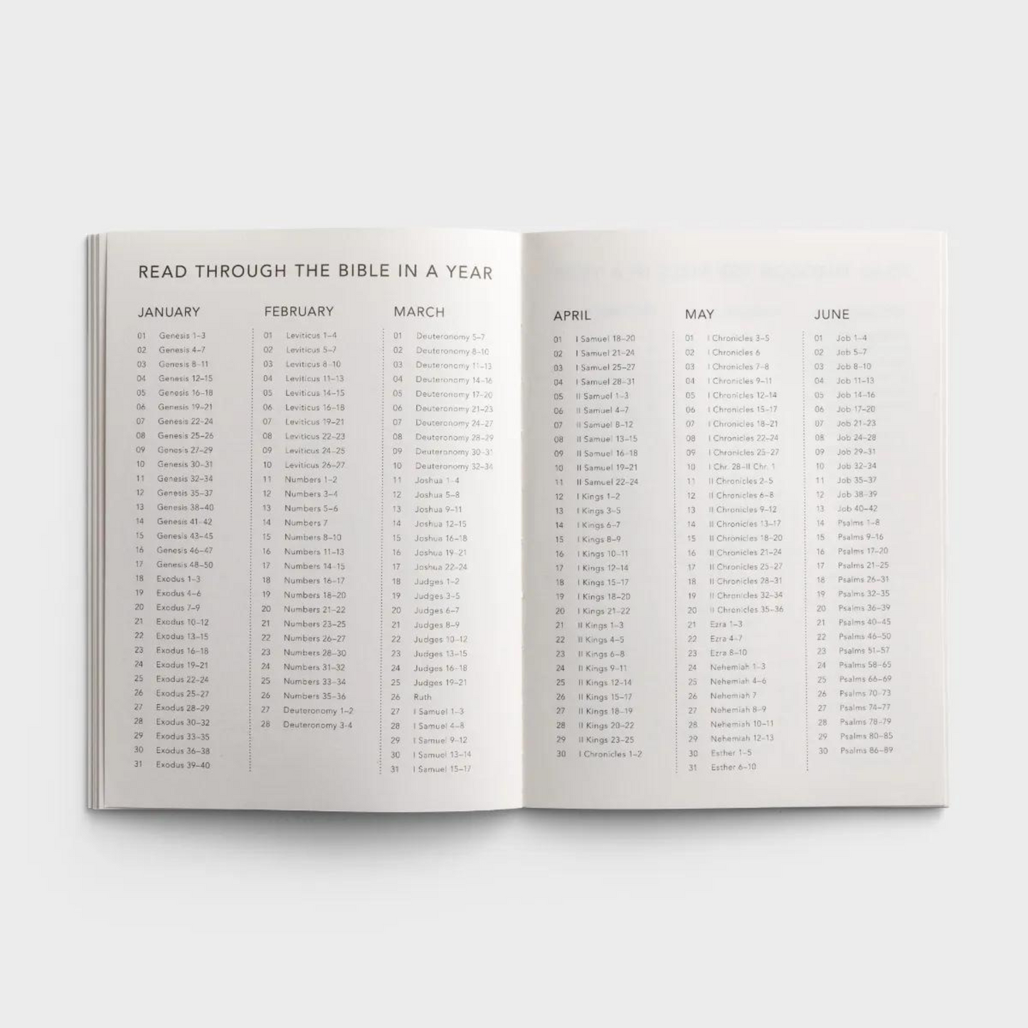 2024-2025: 16-Month Planner