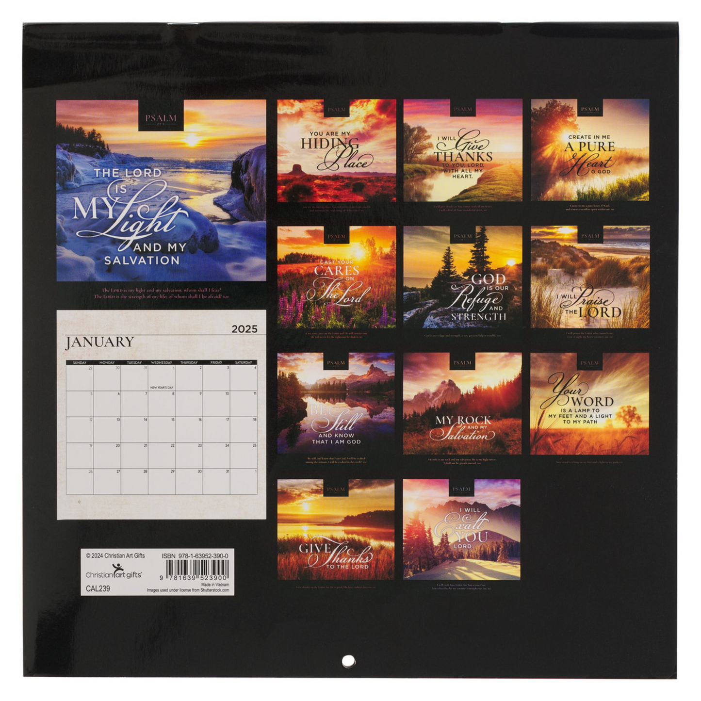 2025 Large Wall Calendar - Psalms of Praise (CAL239)