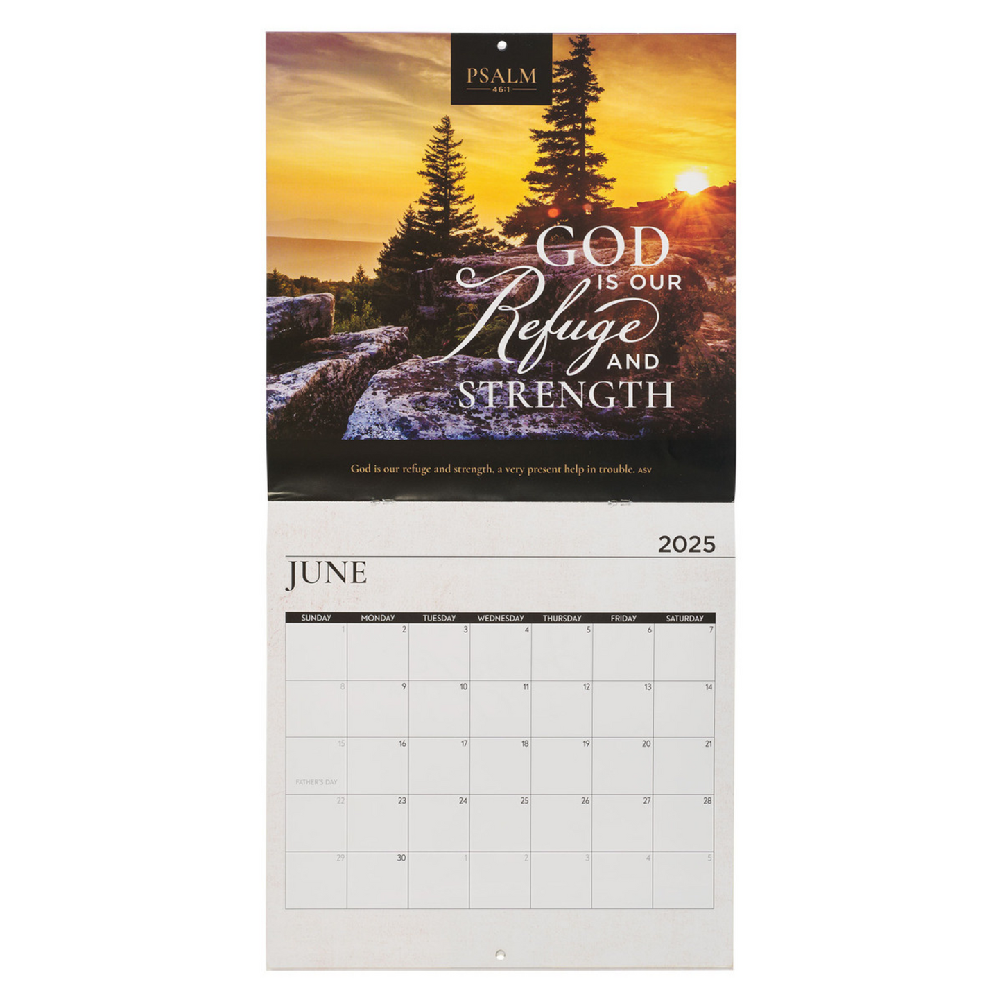 2025 Large Wall Calendar - Psalms of Praise (CAL239)