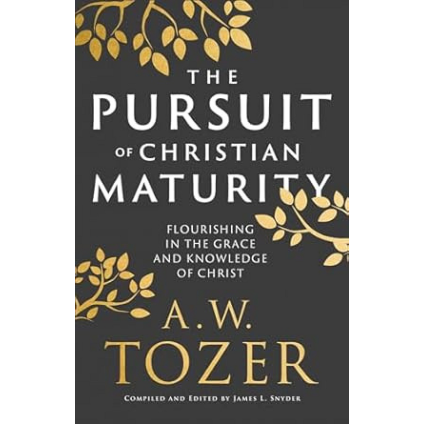 The Pursuit of Christian Maturity