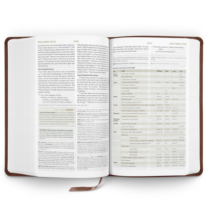 ESV Student Study Bible, Chestnut