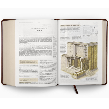 ESV Study Bible, Chestnut