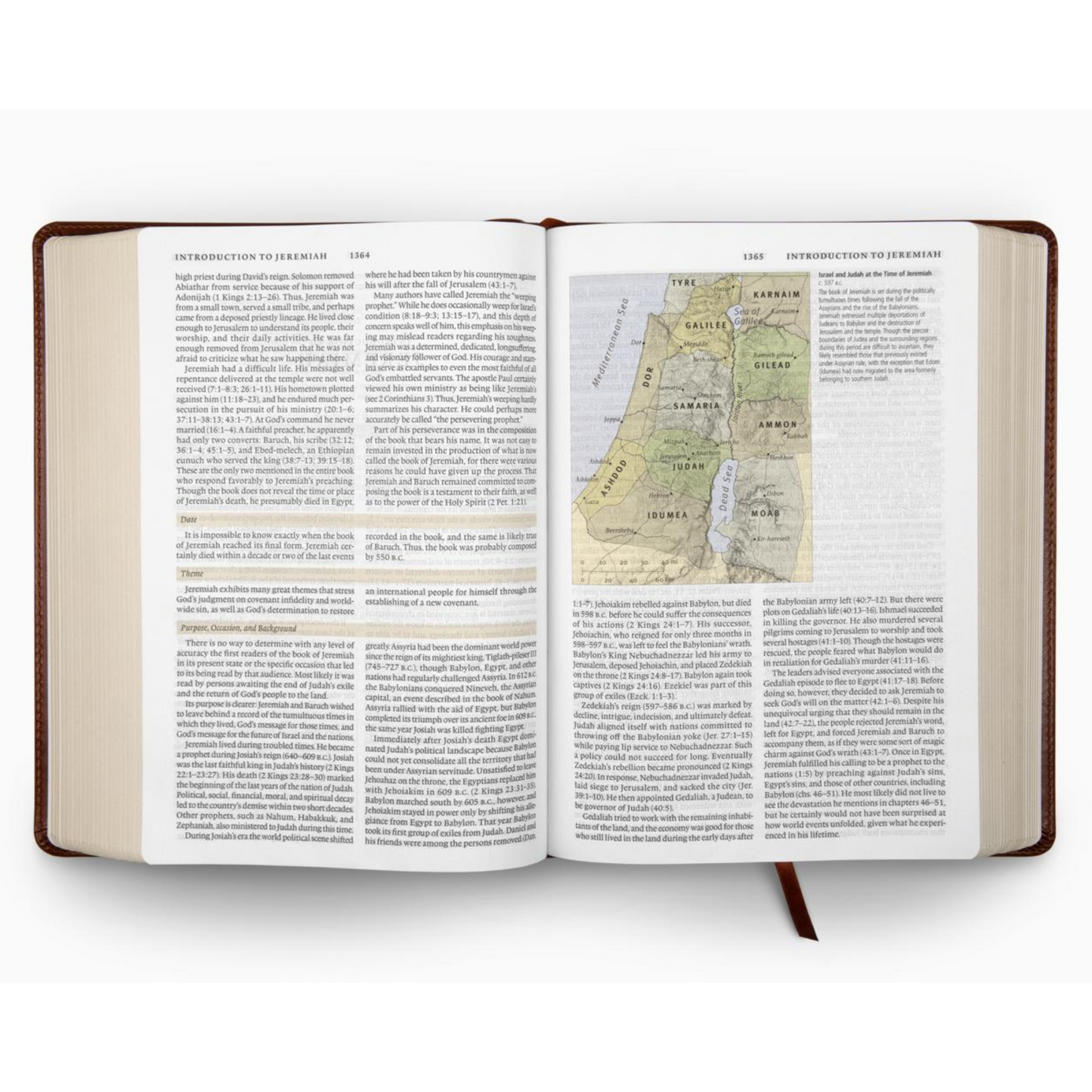 ESV Study Bible, Chestnut