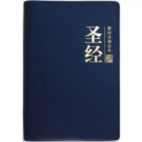 Chinese Bible - Simplified, Pearl Vinyl Blue (CUNPSS62PL)