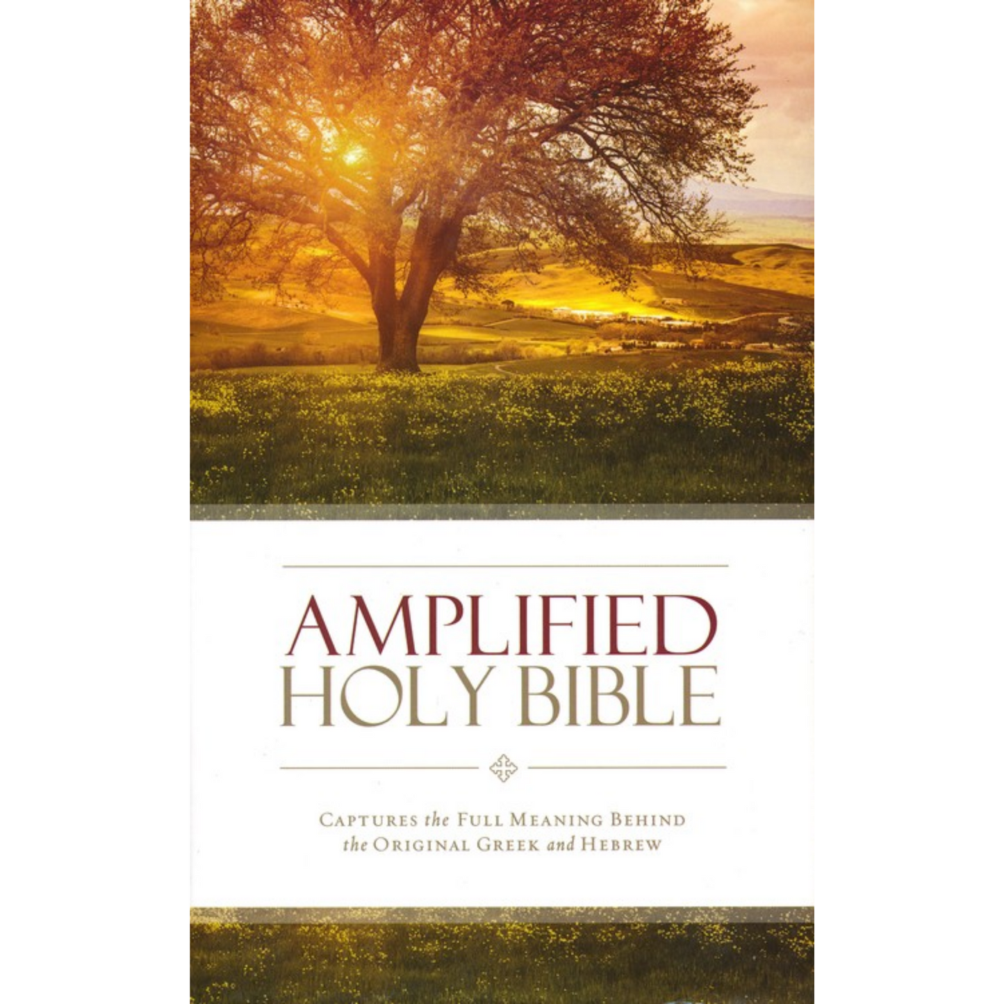 Amplified Holy Bible (Hardcover)