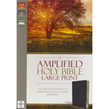 Amplified Bible, Large Print - Bonded leather, Burgundy