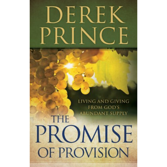 The Promise Of Provision