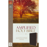 Amplified Bible Thinline, Bonded leather, Black
