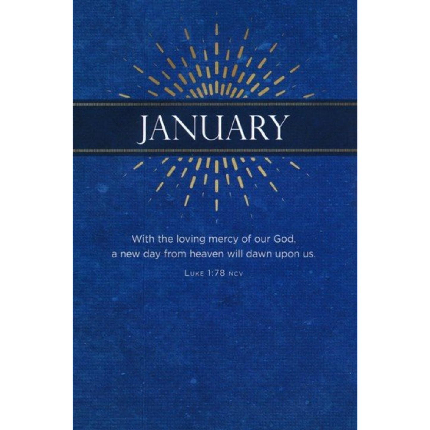 Jesus First: 365 Devotions to Start Your Day