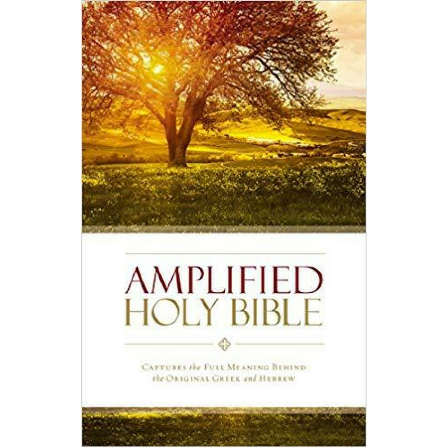 Amplified Holy Bible, Paperback